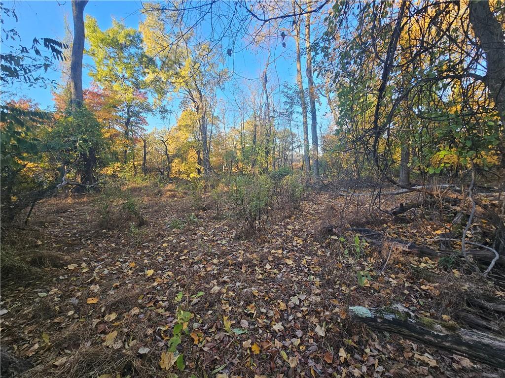 0 Glen Mitchell Road Sewickley, PA 15143 - Photo 22 of 25 a view of a forest with trees in the background
