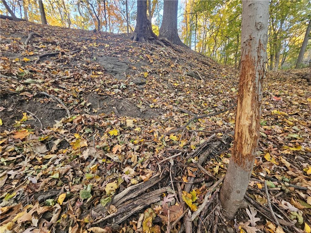 0 Glen Mitchell Road Sewickley, PA 15143 - Photo 24 of 25 a view of a yard with a tree
