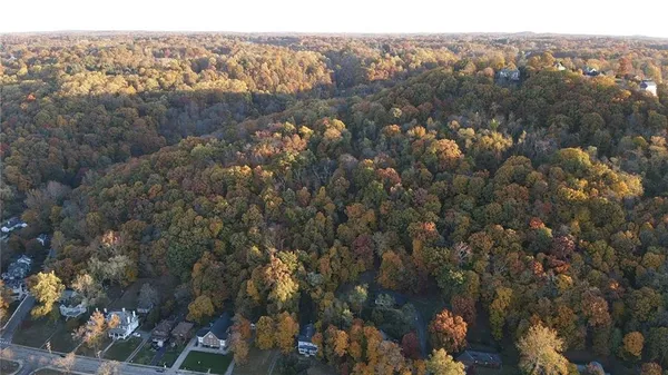 an aerial view of mountain with trees