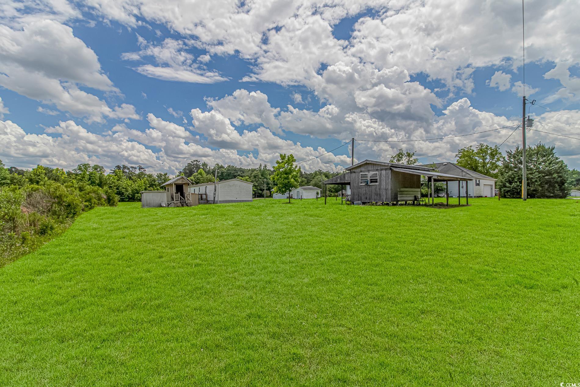 2829 Highway 129 Galivants Ferry, SC 29544 - Photo 24 of 40 View of grassy yard with an outdoor structure