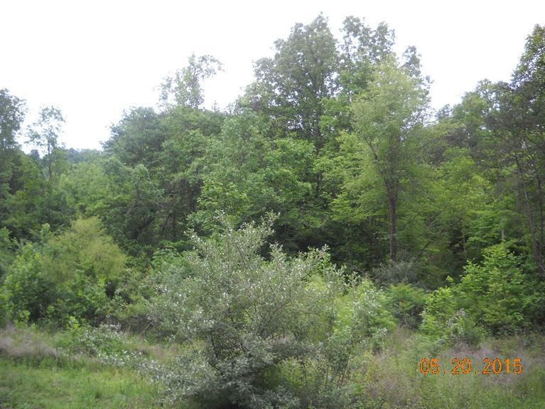 1111 Steele Hollow Road Corbin, KY 40701 - Photo 4 of 9 Photo 4