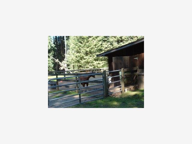 330 Summit Road Watsonville, CA 95076 - Photo 9 of 9 Gallery Image 9
