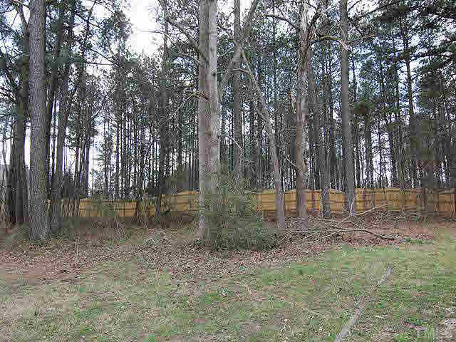 4501 Durham Road Raleigh, NC 27614 - Photo 12 of 12 a backyard of a house with lots of green space