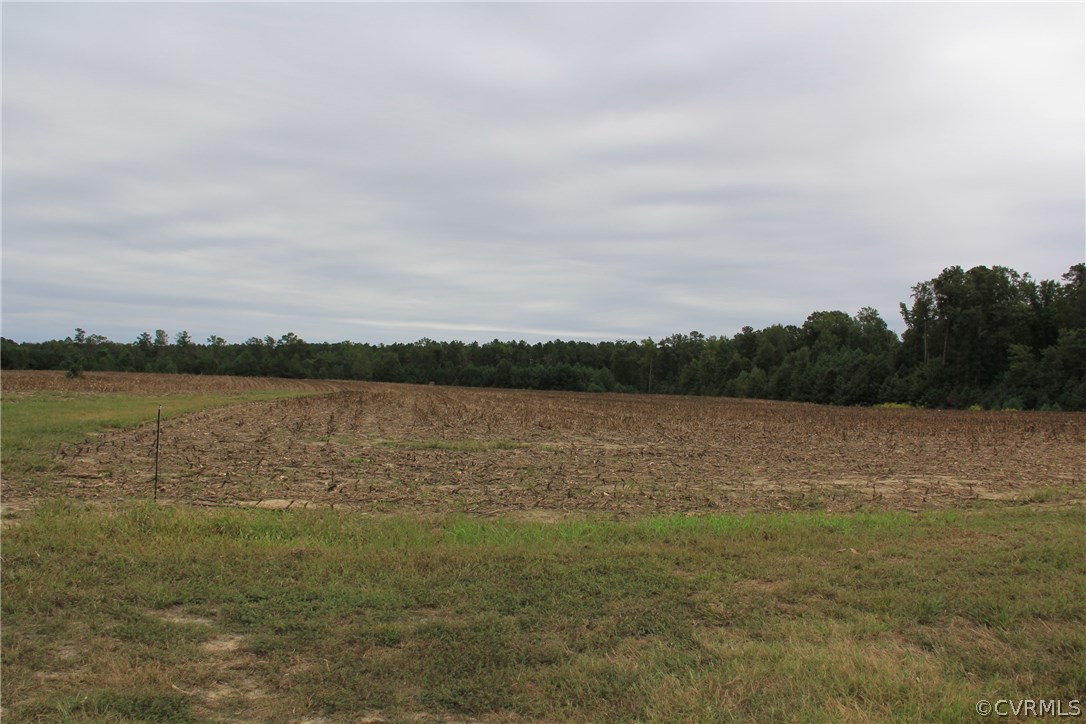 0 Butylo Road Laneview, VA 22504 - Photo 3 of 13 Gallery Image 3