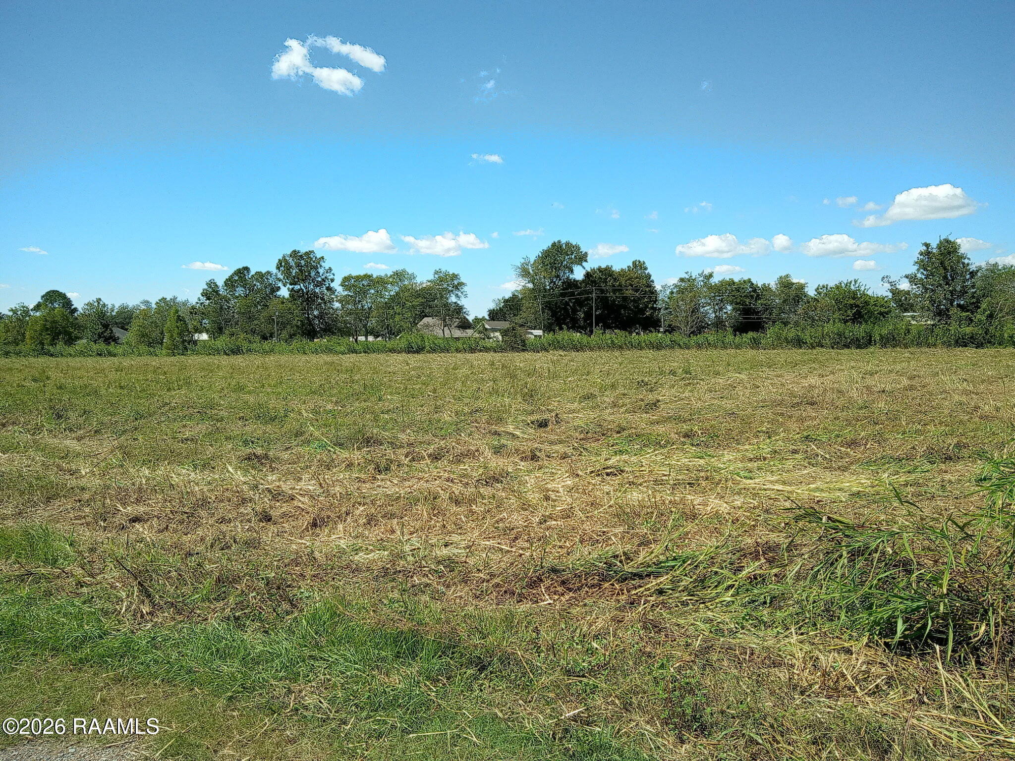 0 Doyle Melancon Road, Unit C1 Breaux Bridge, LA 70517 - Photo 4 of 6 1000006395