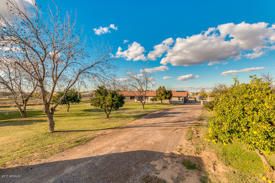 2890 East Ryan Road Gilbert, AZ 85297 - Photo 2 of 27 Front yard fruit nut trees