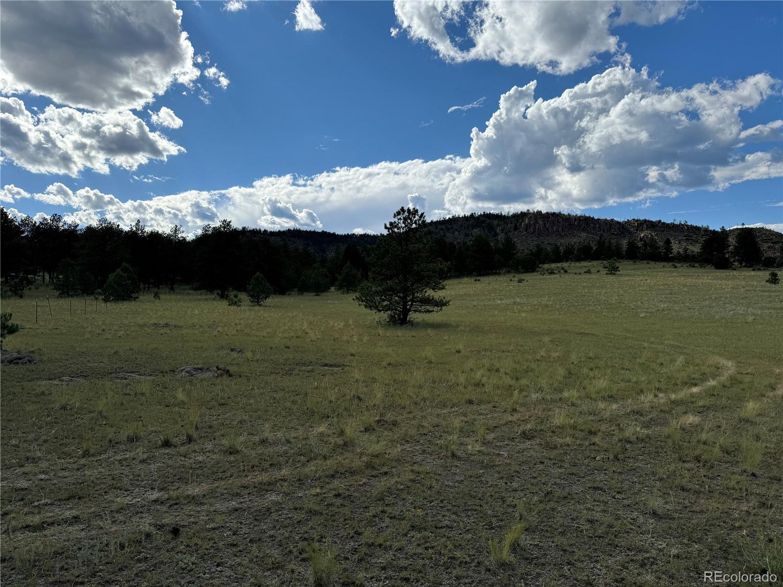 Twinkle Road Guffey, CO 80820 - Photo 31 of 32 a view of outdoor space and yard