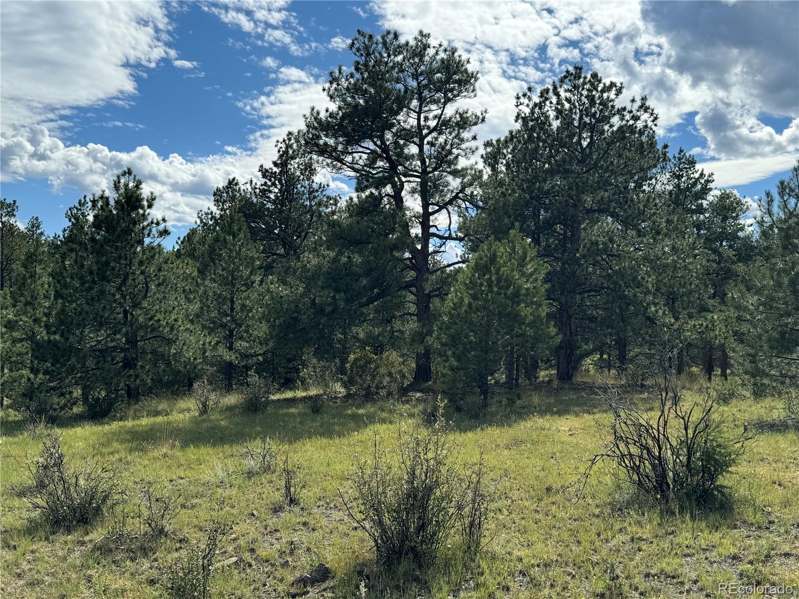 Twinkle Road Guffey, CO 80820 - Photo 7 of 32 a view of lake