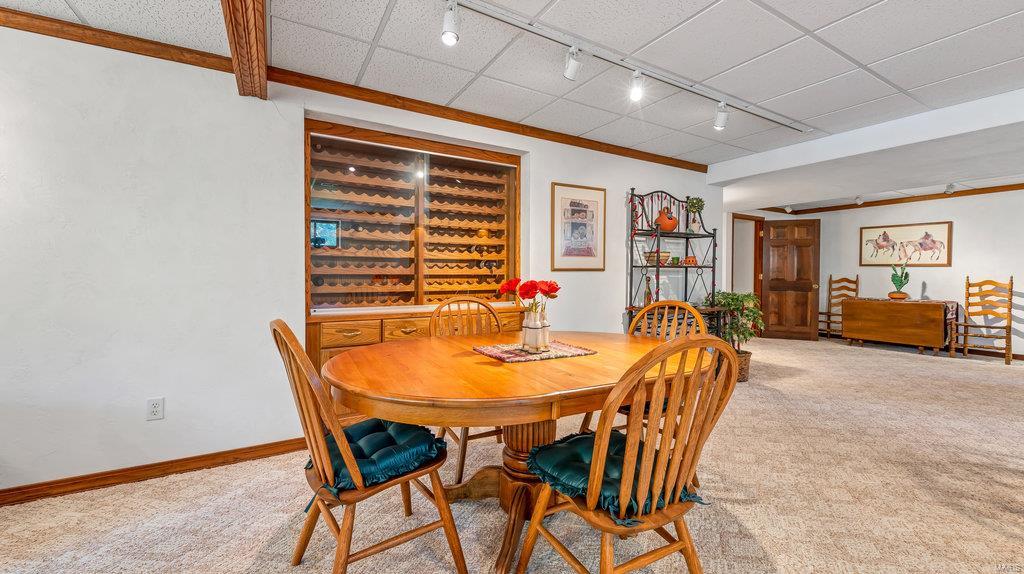 3 Cedar Ridge Waterloo, IL 62298 - Photo 53 of 67