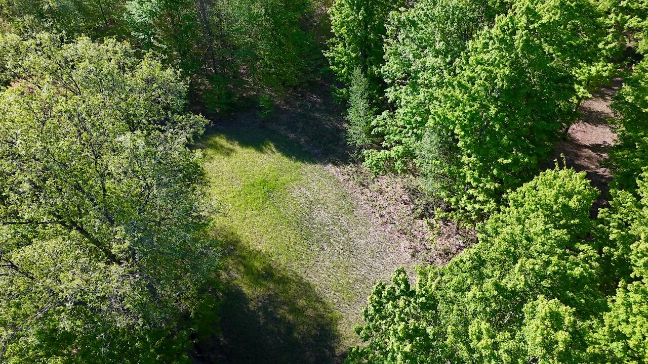 11547 1 Mile Road Leroy, MI 49655 - Photo 42 of 73 34_