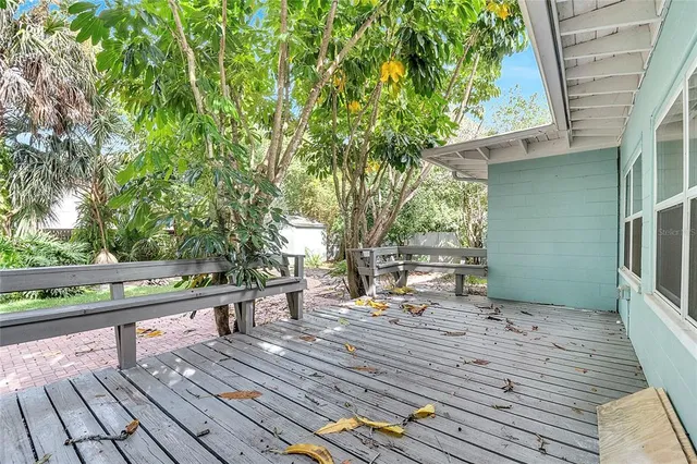 a view of a yard with plants and trees