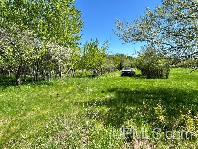 Tbd Tbd Bellaire Road Baraga, MI 49908 - Photo 49 of 49