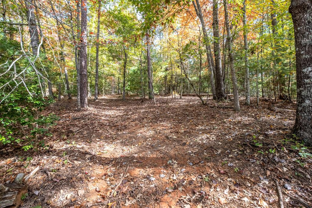 171 Caney Creek Road Murphy, NC 28906 - Photo 44 of 60