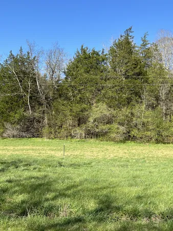 a view of a field with an trees