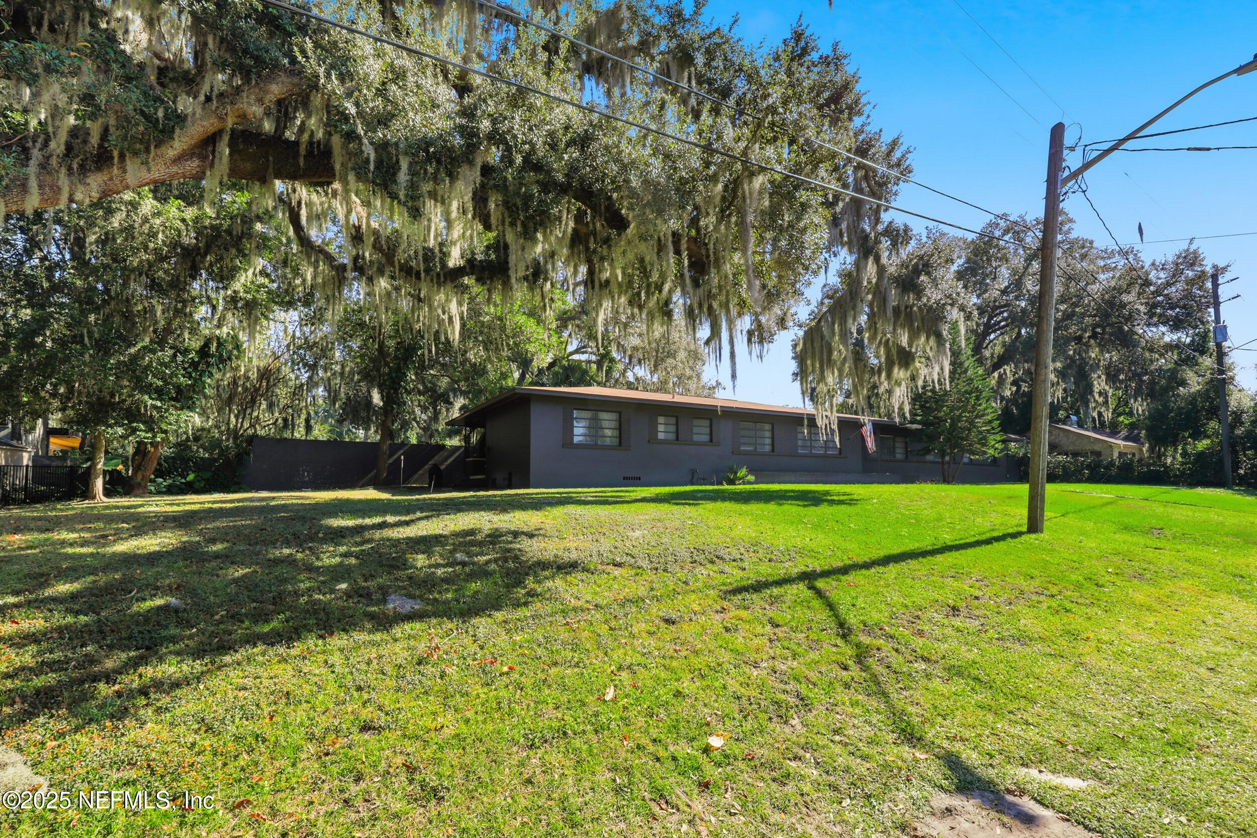 1315 Mayfair Road Jacksonville, FL 32207 - Photo 45 of 48 a view of a trees with a big yard