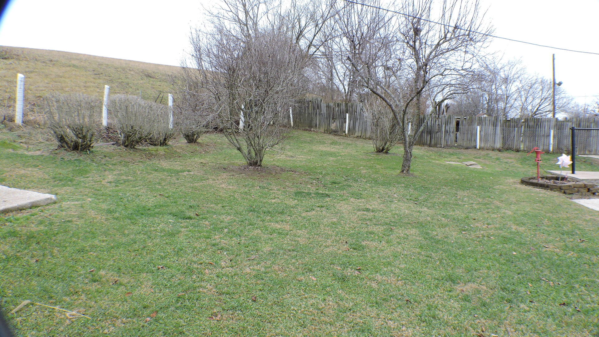4624 Levee Road Mount Sterling, KY 40353 - Photo 28 of 30 DSCN9608
