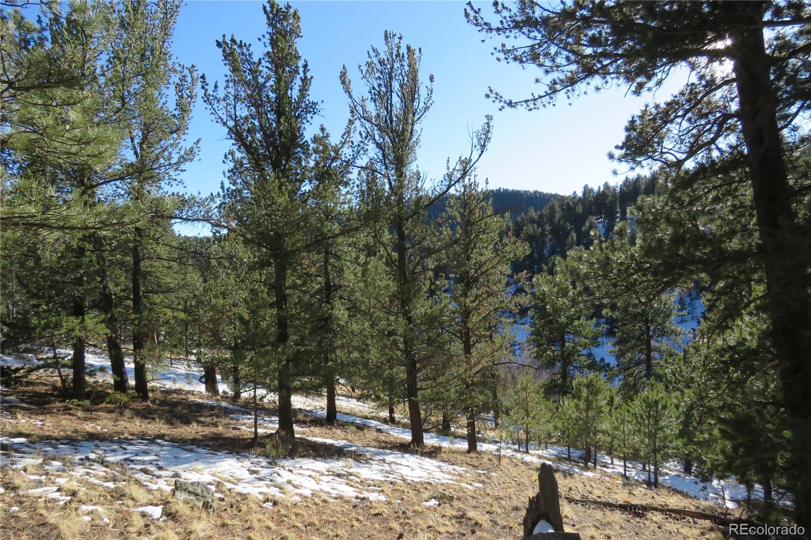 148 Burton Street Bailey, CO 80421 - Photo 1 of 15