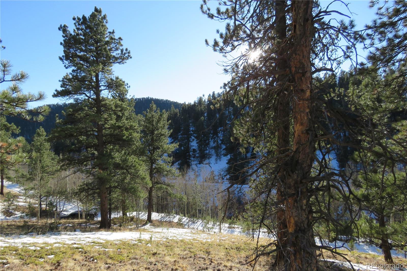 148 Burton Street Bailey, CO 80421 - Photo 11 of 15