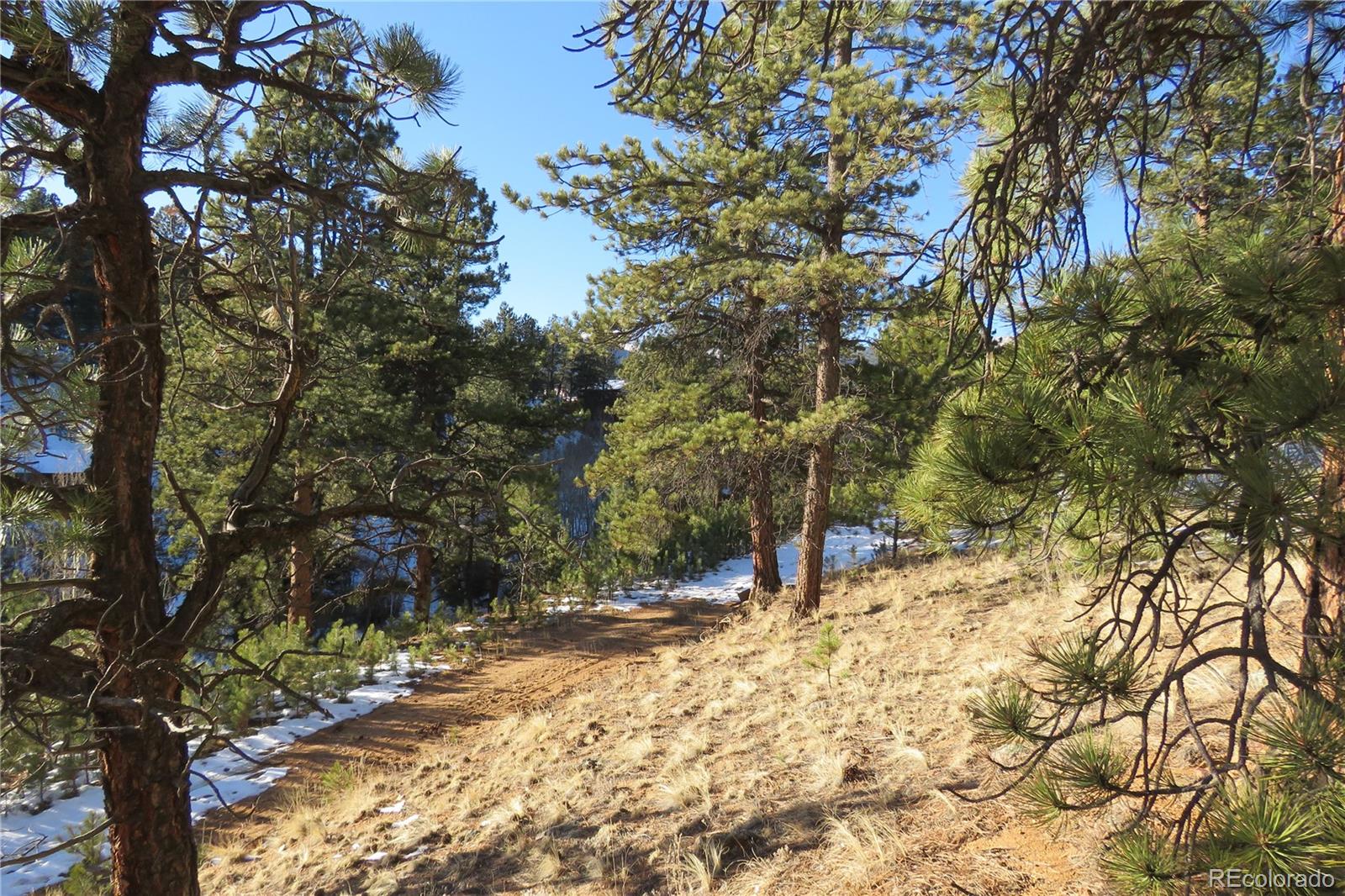 148 Burton Street Bailey, CO 80421 - Photo 12 of 15