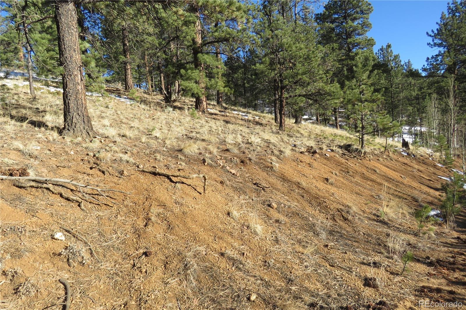 148 Burton Street Bailey, CO 80421 - Photo 13 of 15