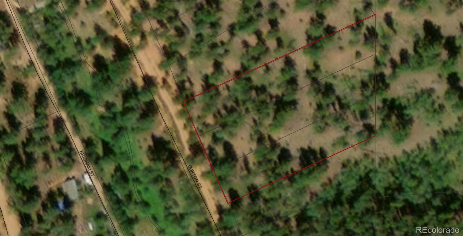 148 Burton Street Bailey, CO 80421 - Photo 15 of 15