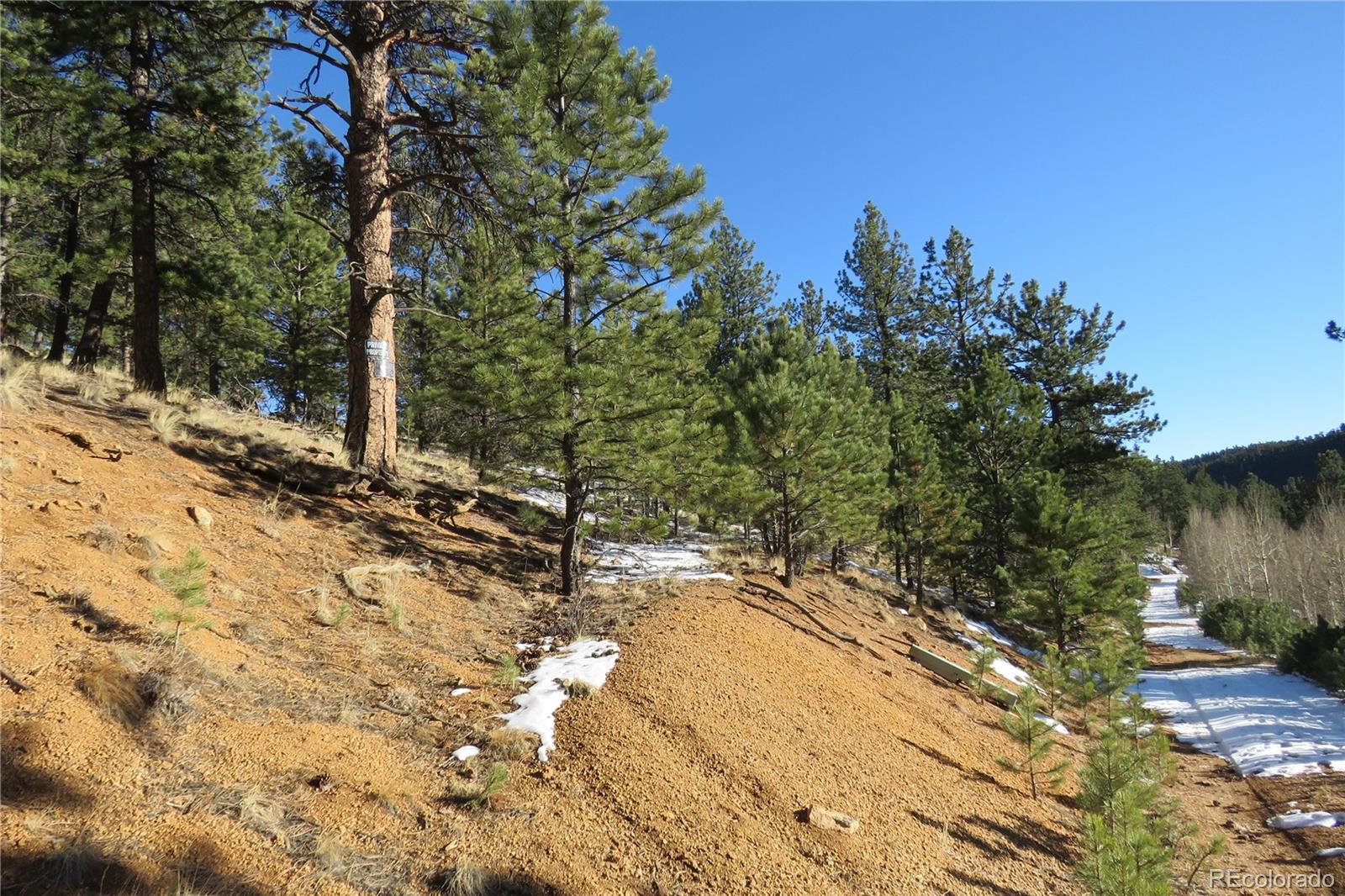 148 Burton Street Bailey, CO 80421 - Photo 2 of 15