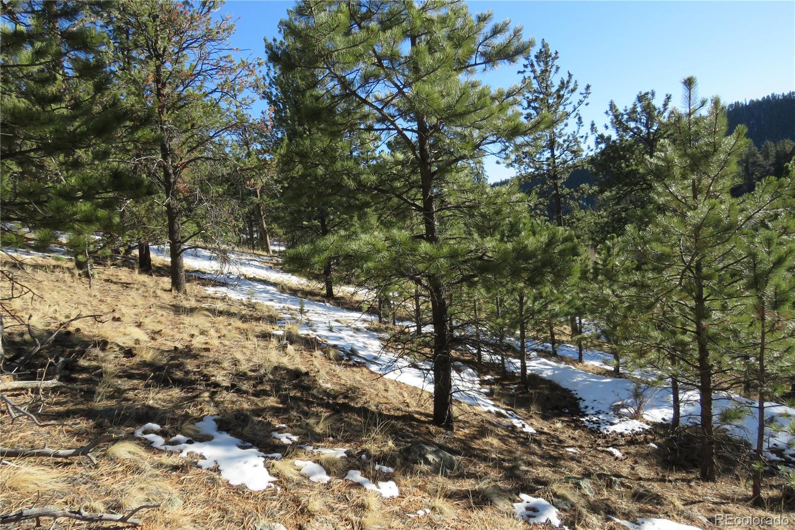 148 Burton Street Bailey, CO 80421 - Photo 3 of 15