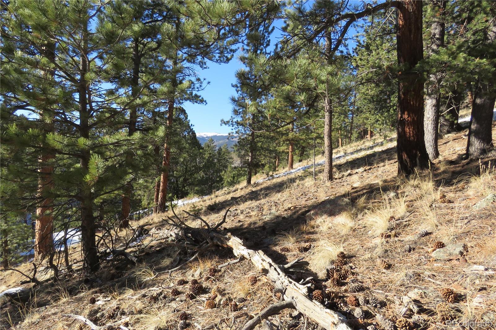 148 Burton Street Bailey, CO 80421 - Photo 4 of 15