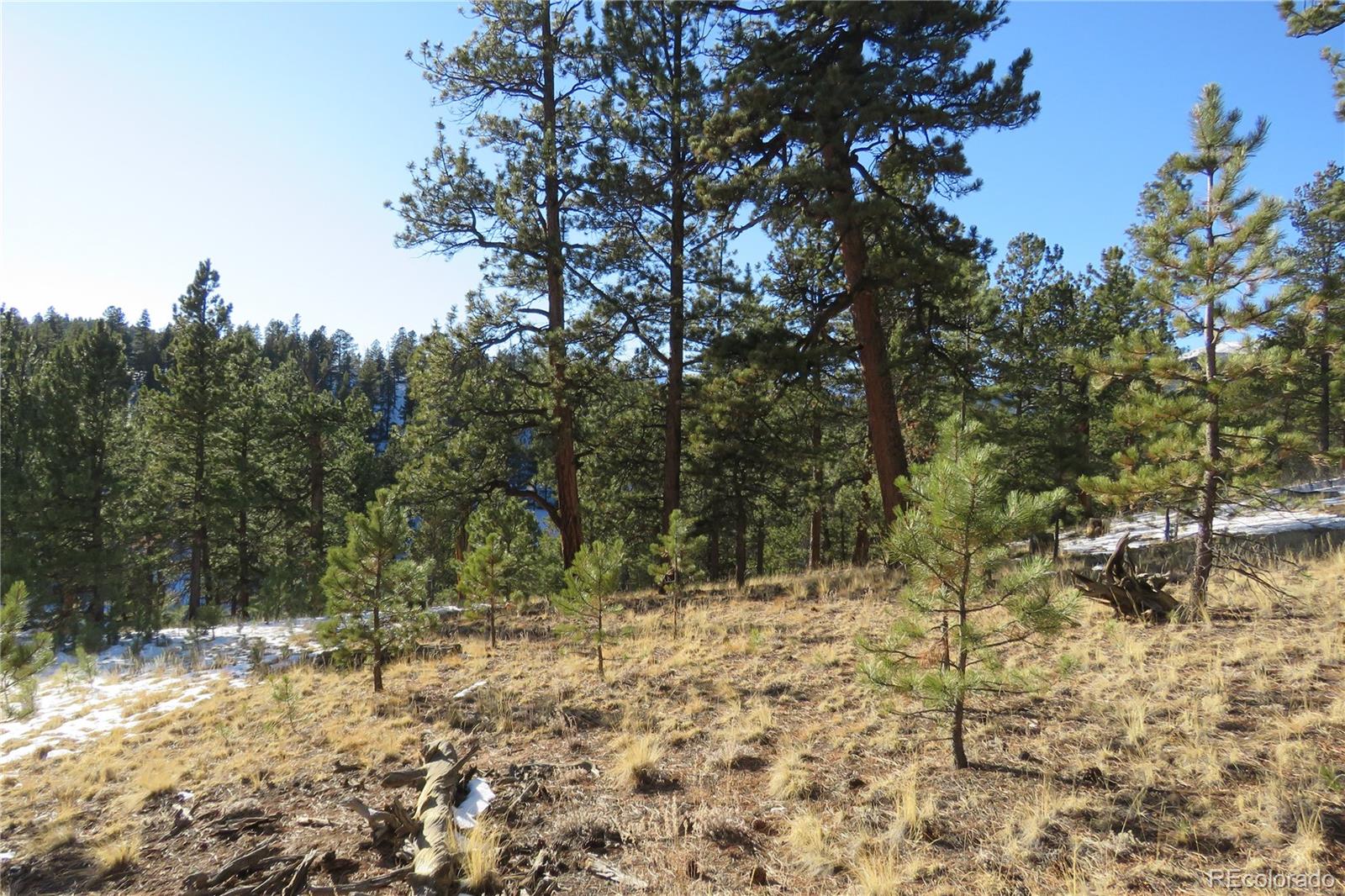 148 Burton Street Bailey, CO 80421 - Photo 6 of 15