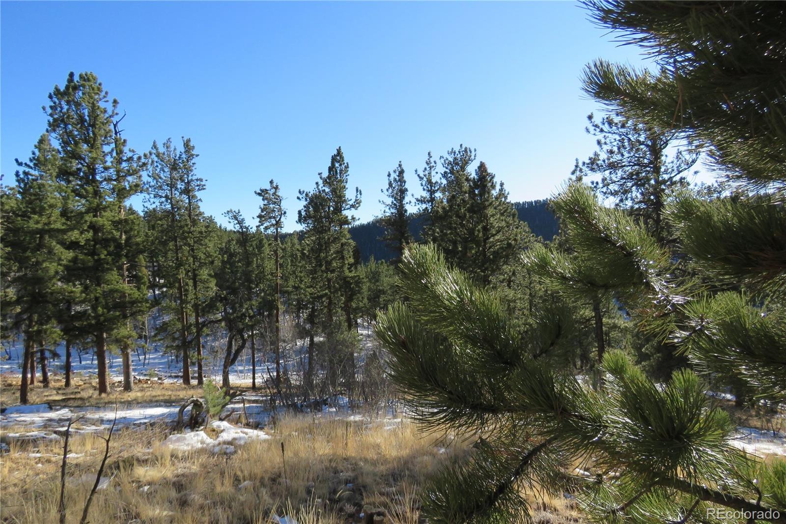 148 Burton Street Bailey, CO 80421 - Photo 7 of 15