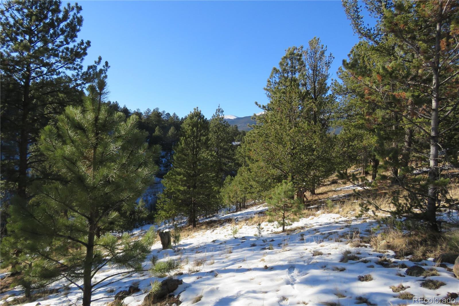 148 Burton Street Bailey, CO 80421 - Photo 10 of 15