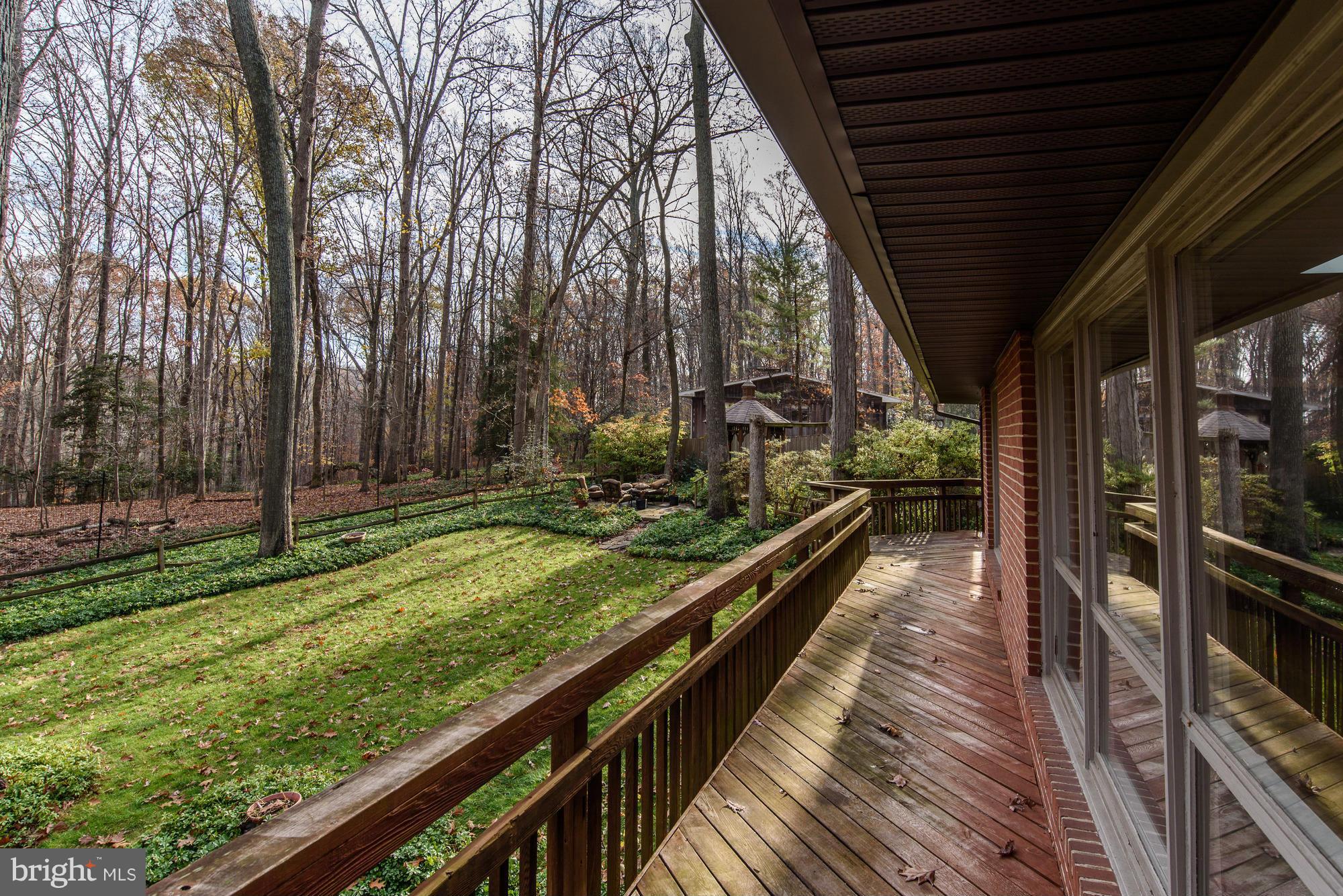 10302 Lloyd Road Potomac, MD 20854 - Photo 26 of 30 a view of backyard with green space