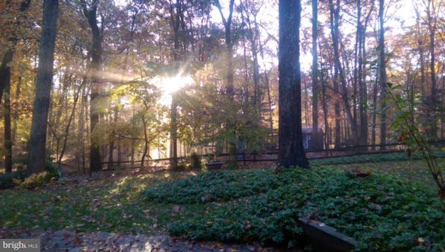 10302 Lloyd Road Potomac, MD 20854 - Photo 27 of 30 a view of yard with green space