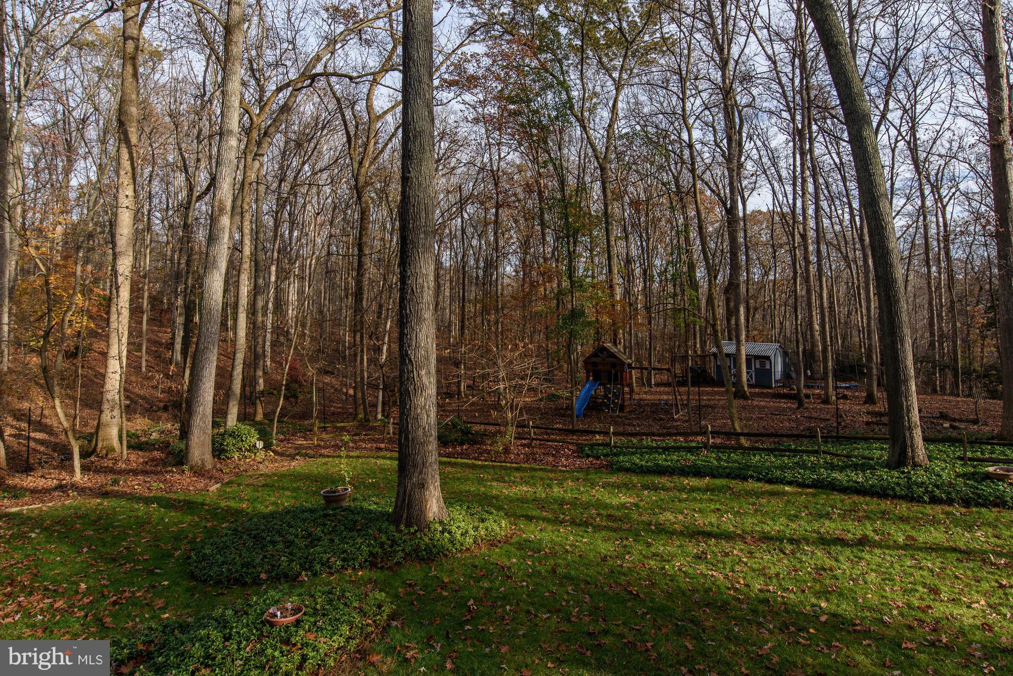 10302 Lloyd Road Potomac, MD 20854 - Photo 28 of 30 a view of a back yard