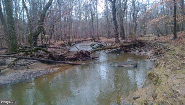 10302 Lloyd Road Potomac, MD 20854 - Photo 30 of 30 a view of lake with large tree