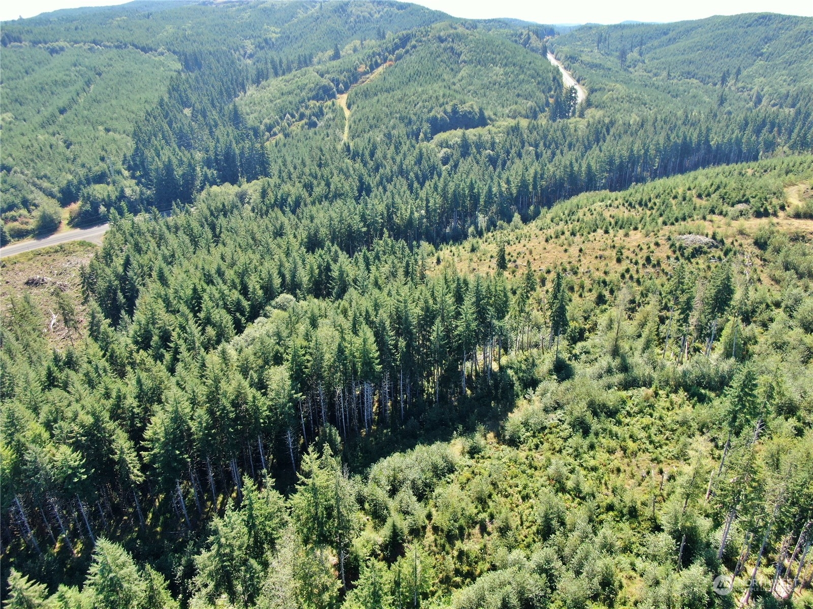 -off Of Lund Road Cosmopolis, WA 98537 - Photo 2 of 16