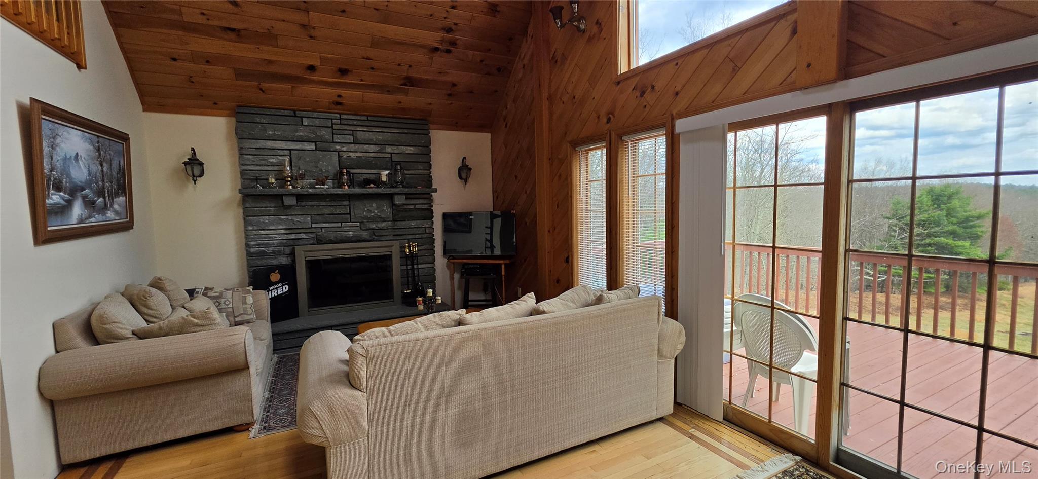 125 Woods Road Barryville, NY 12719 - Photo 12 of 34 a living room with furniture a fireplace and a floor to ceiling window