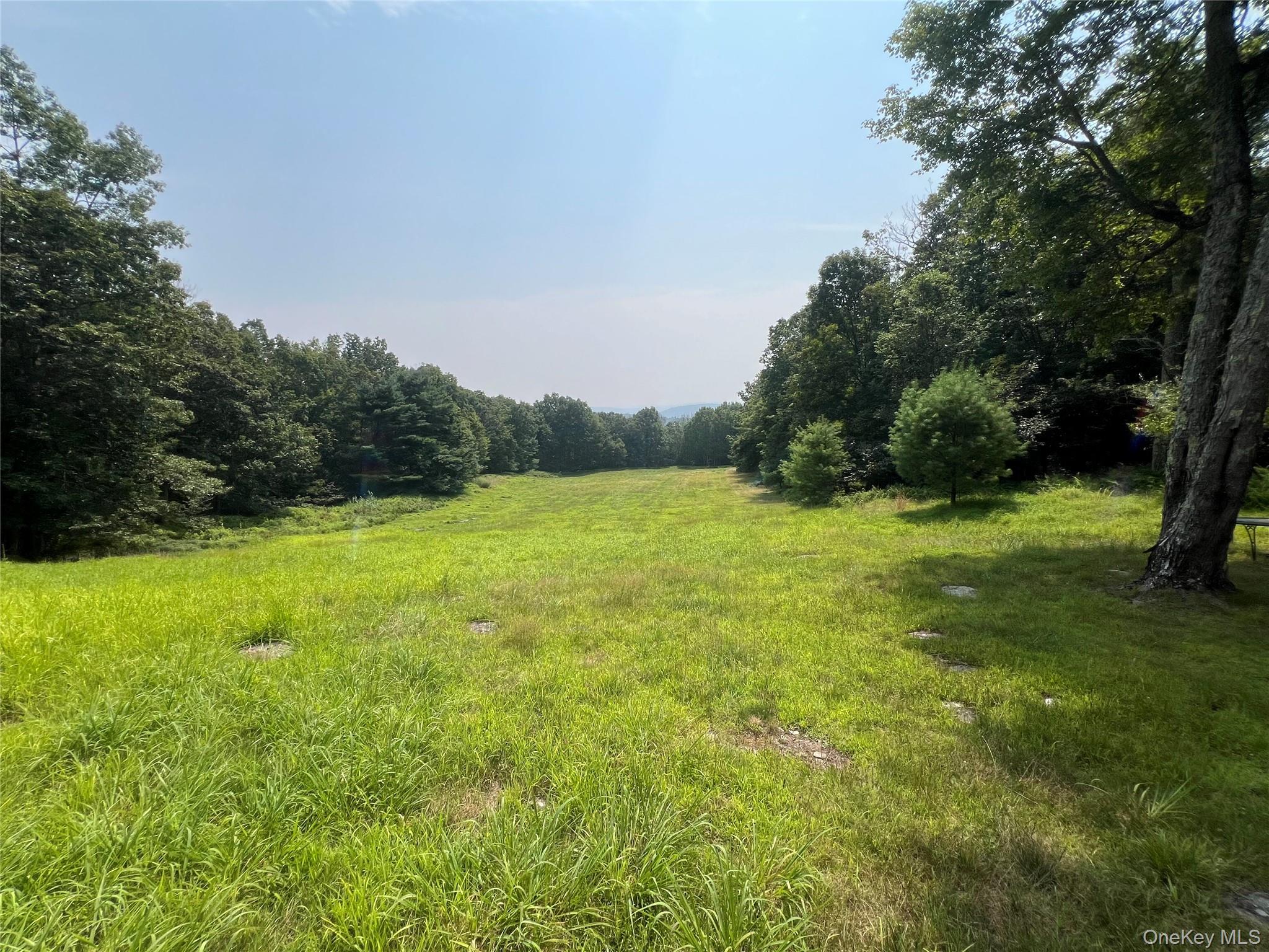 125 Woods Road Barryville, NY 12719 - Photo 21 of 25 a view of grassy field with trees