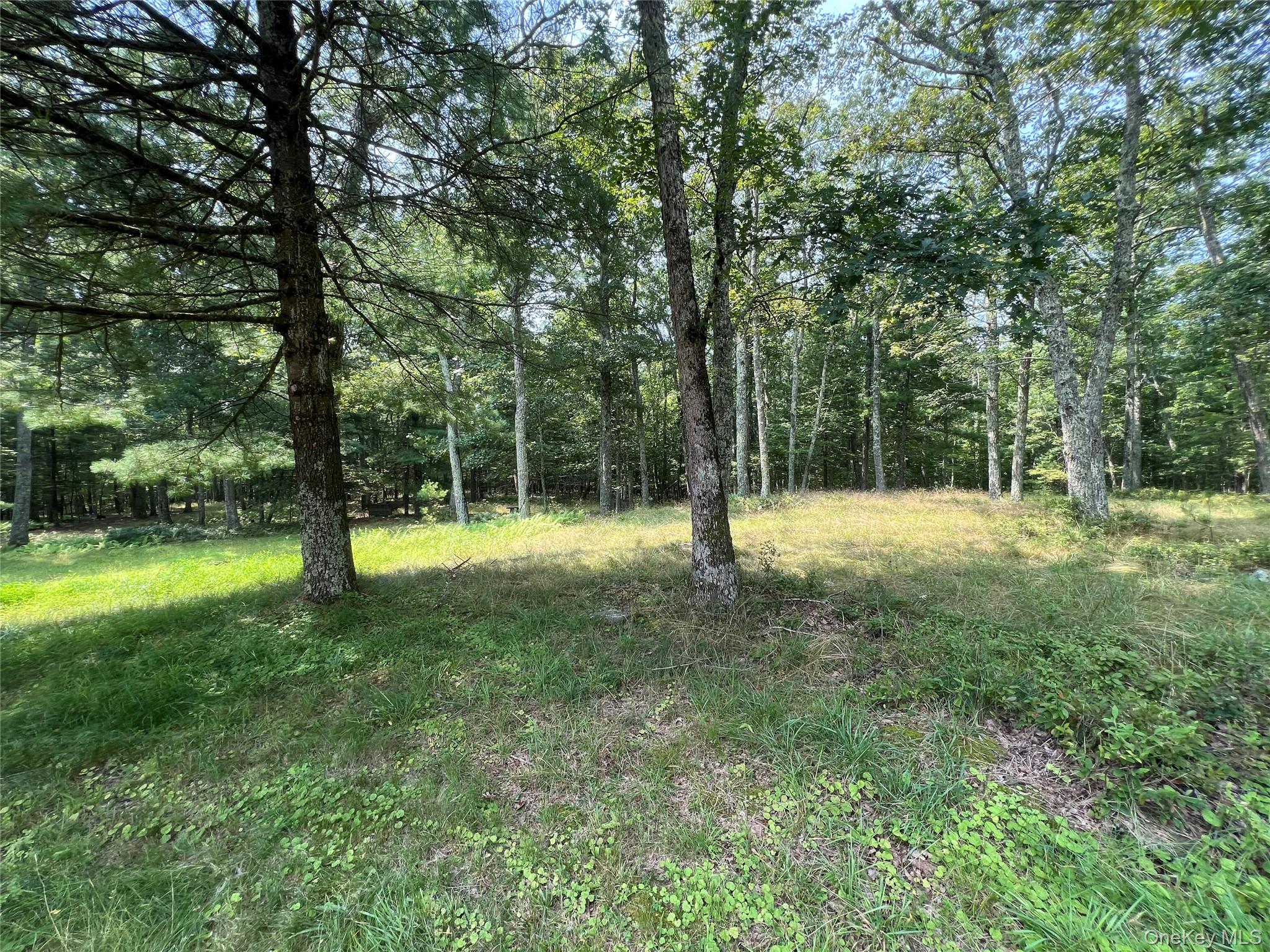 125 Woods Road Barryville, NY 12719 - Photo 24 of 25 a view of outdoor space with a garden