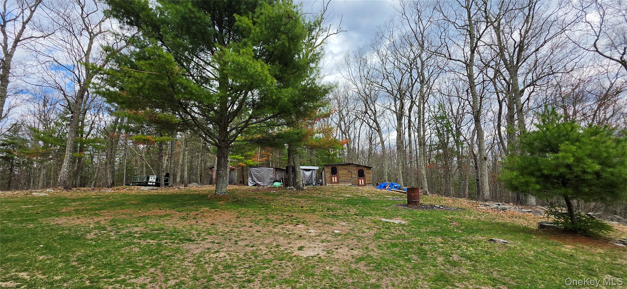 125 Woods Road Barryville, NY 12719 - Photo 34 of 34 a view of a park with large trees