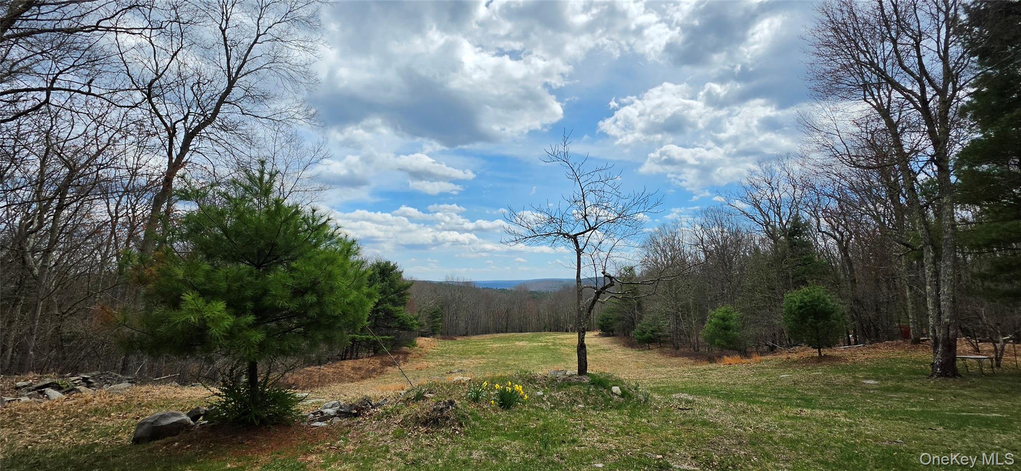 125 Woods Road Barryville, NY 12719 - Photo 5 of 34 a backyard of a house with lots of green space