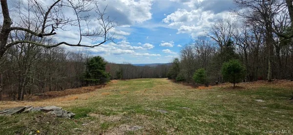 $1,099,900 | 125 Woods Road, Barryville, NY 12719