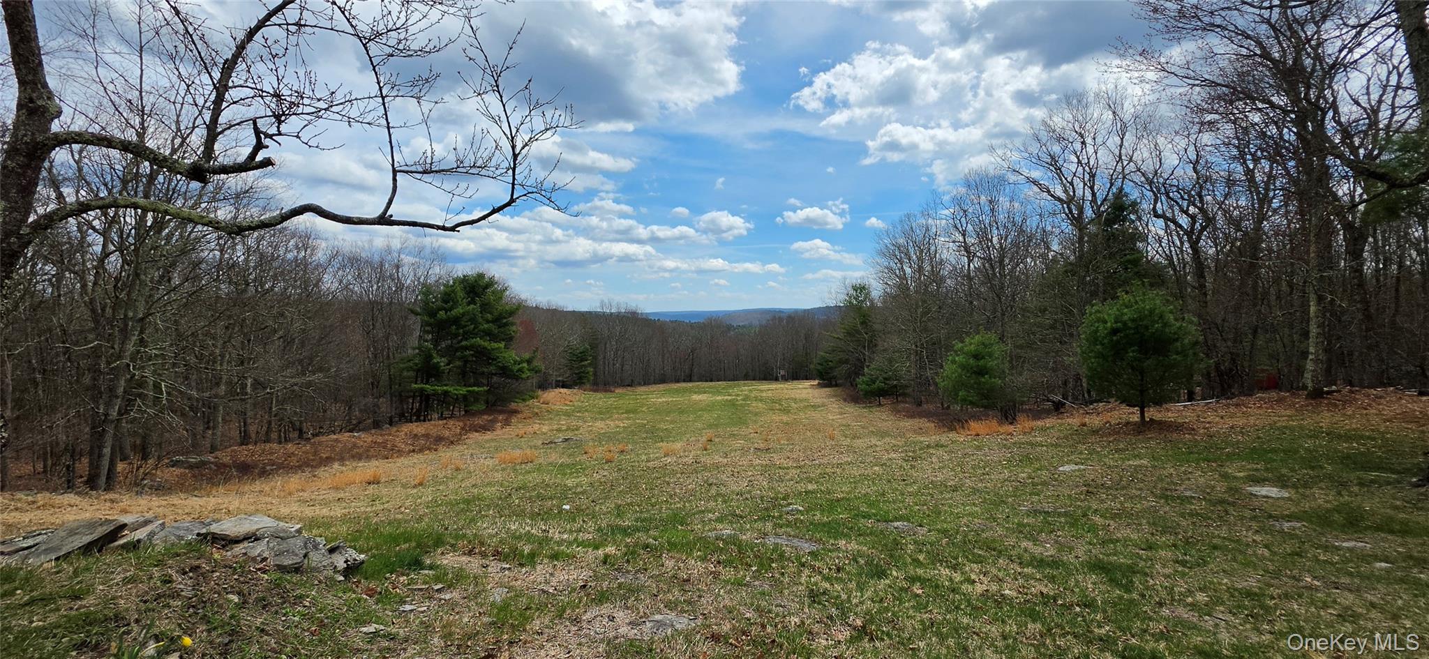 125 Woods Road Barryville, NY 12719 - Photo 6 of 34 a backyard of a house with lots of green space