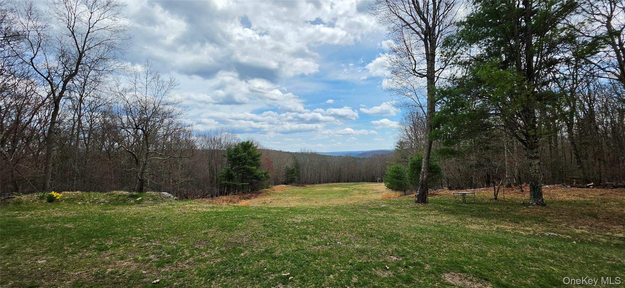 125 Woods Road Barryville, NY 12719 - Photo 7 of 34 a view of a backyard