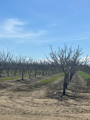 $430,000 | 28872 Hurlbut Street, Madison, CA 95627