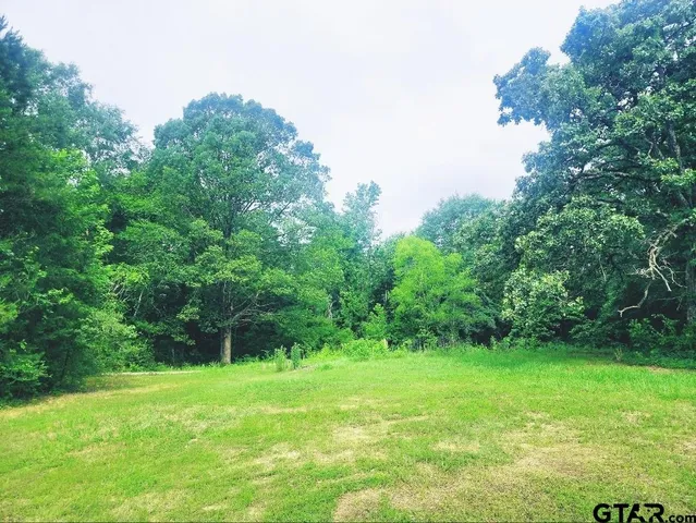 a view of a grassy field with trees in the background