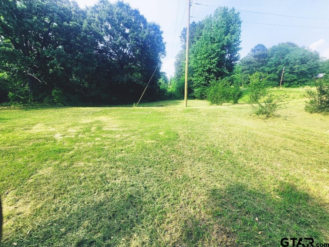 22473 Farm To Market Road 2208 Harleton, TX 75651 - Photo 4 of 4 a view of outdoor space and yard