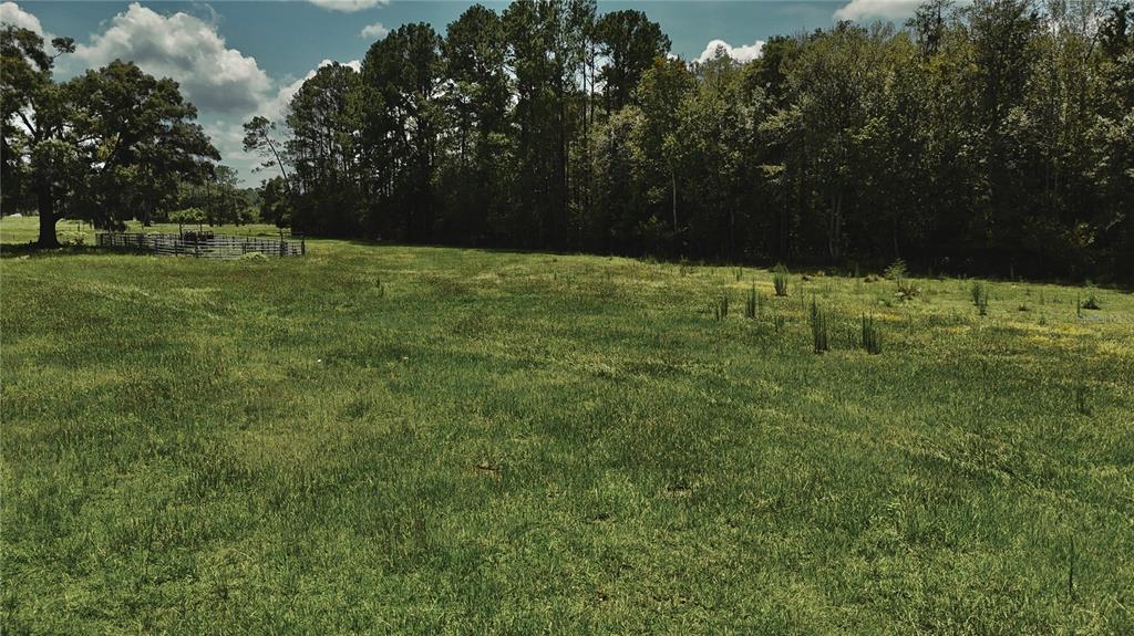 4802 Northwest 50th Road Starke, FL 32091 - Photo 11 of 75 Gallery Image 11