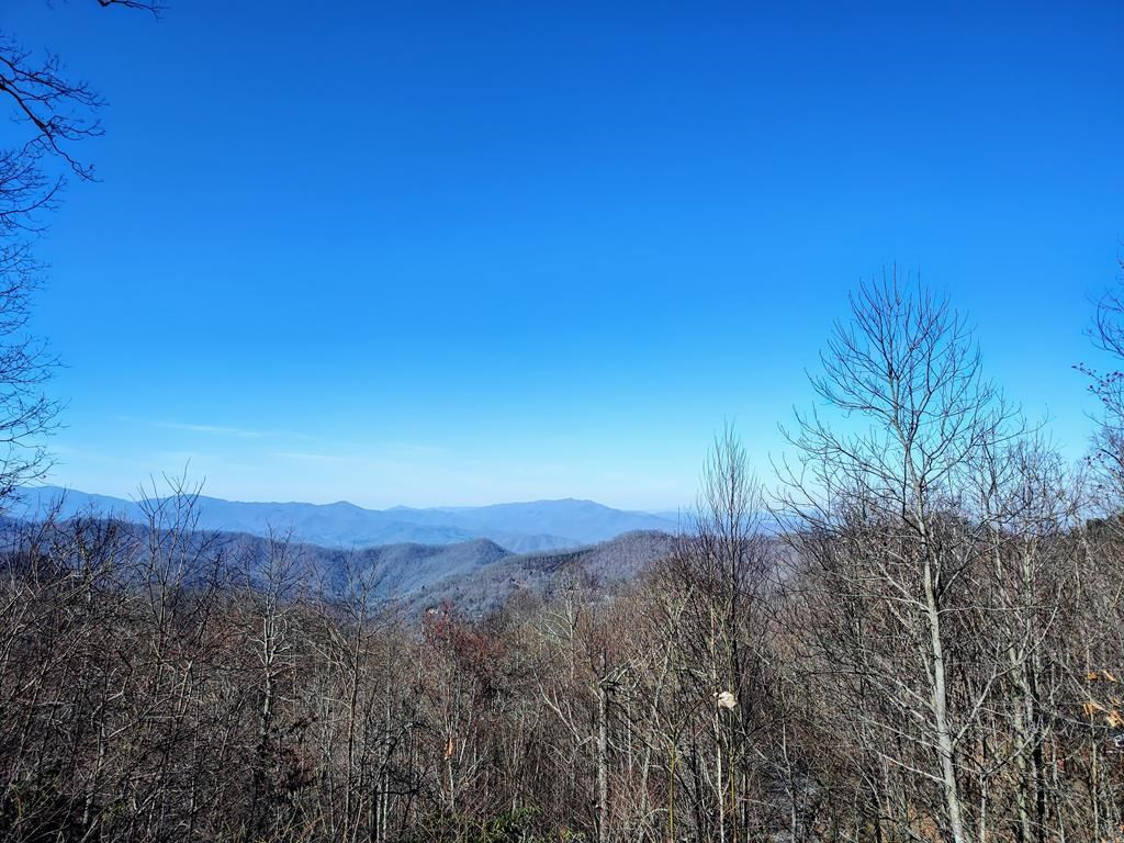 0 East Alarka Road Bryson City, NC 28713 - Photo 22 of 28