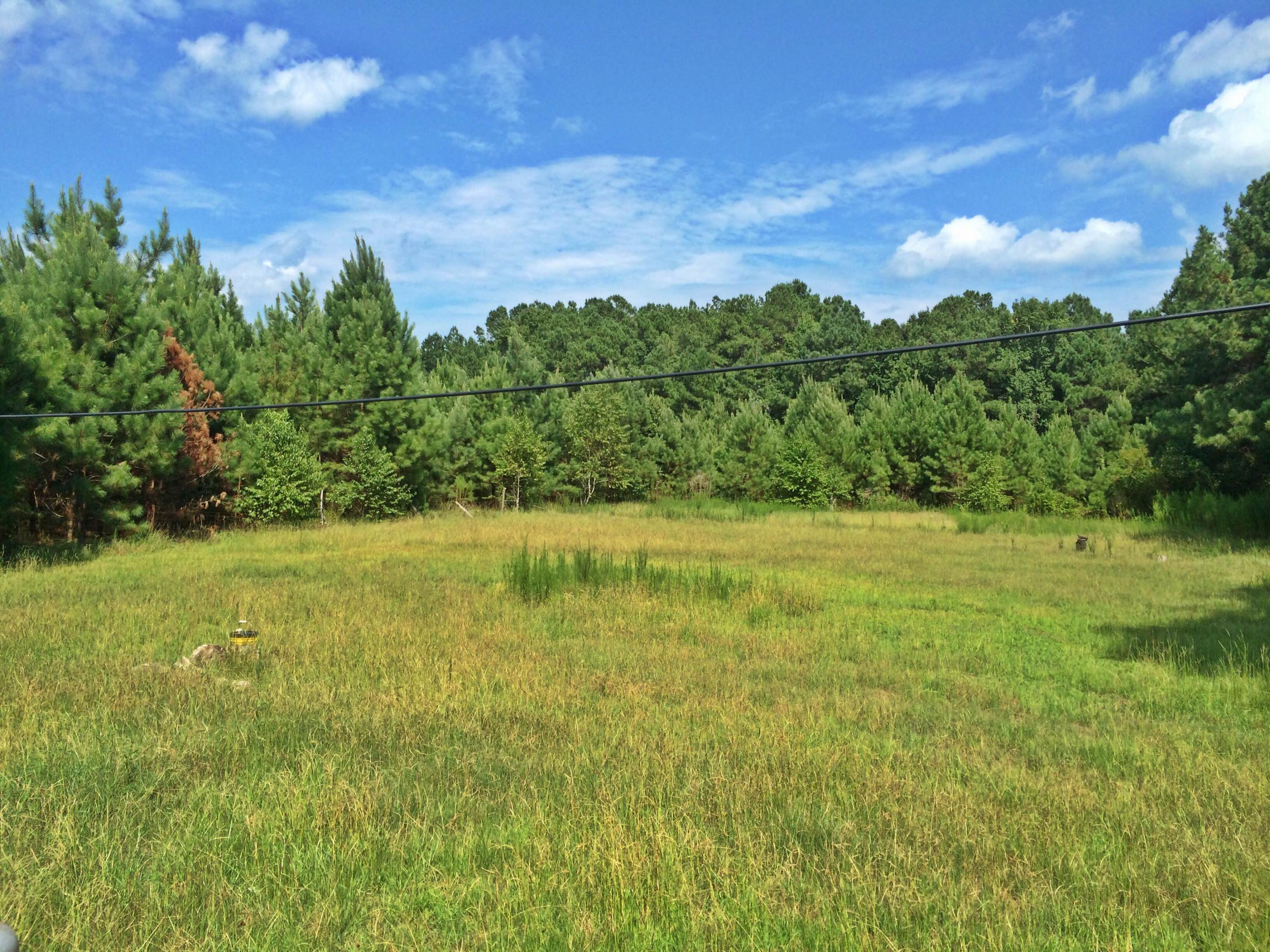 2738 Jacksonboro Road Round O, SC 29474 - Photo 2 of 3 road facing lot